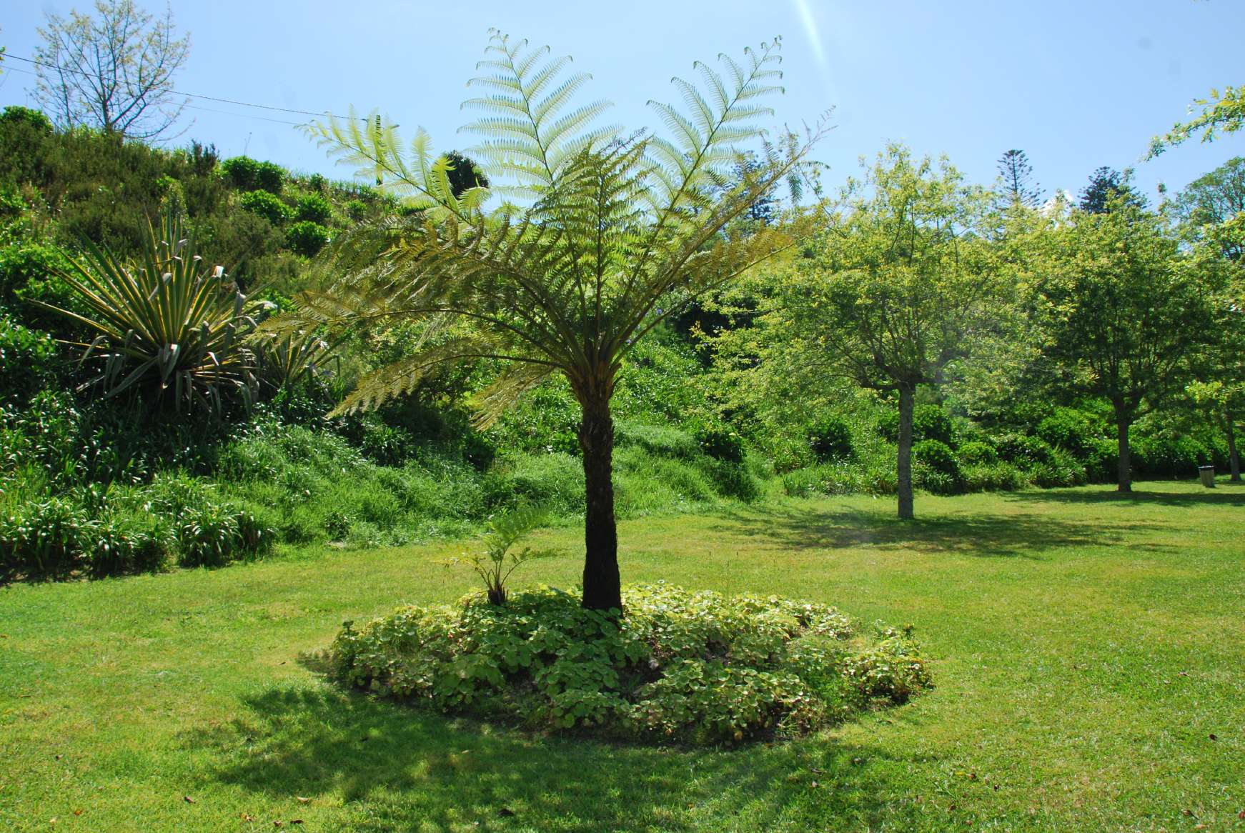 resized_DSC_0049