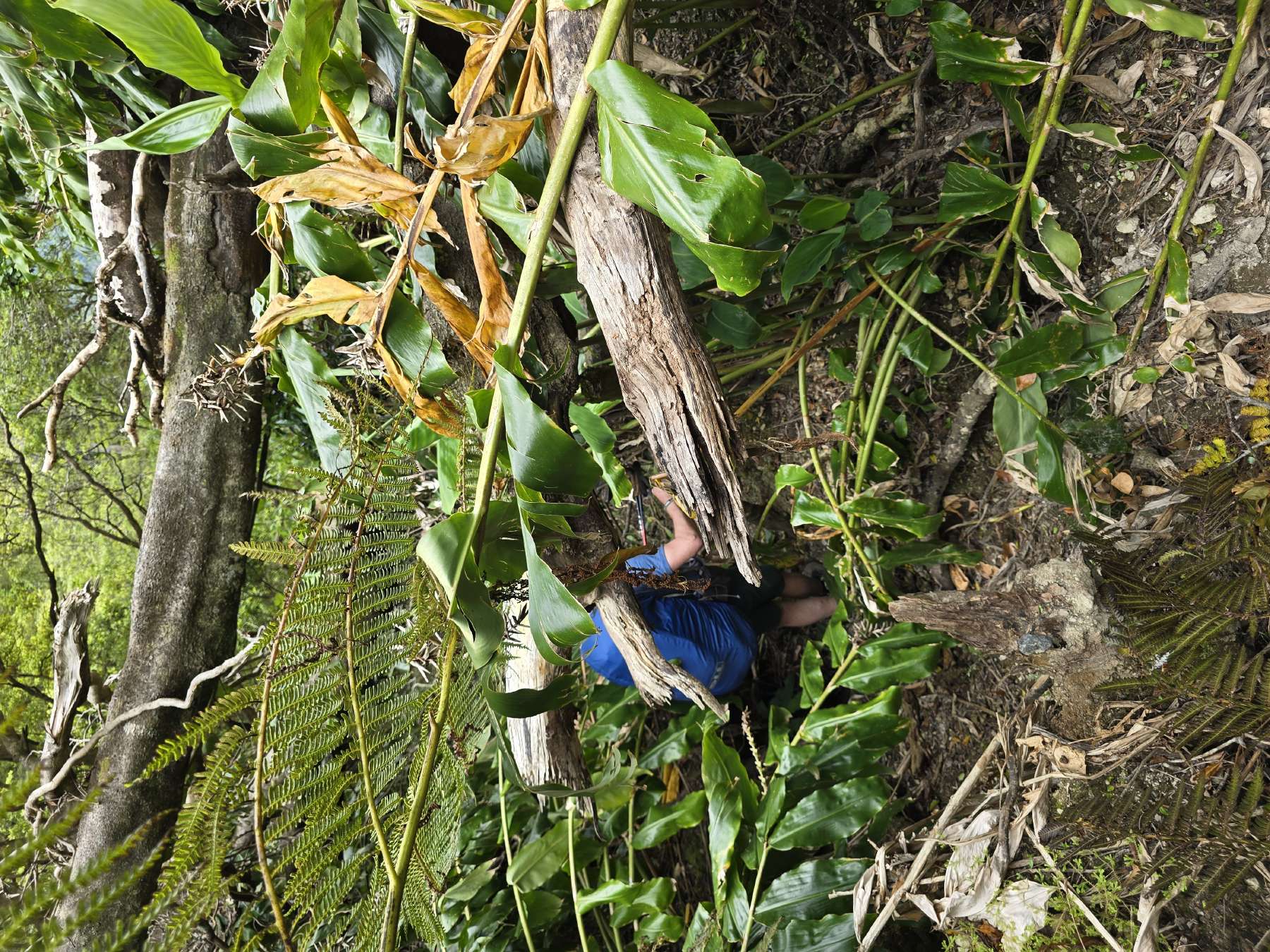 resized_DSC_0223