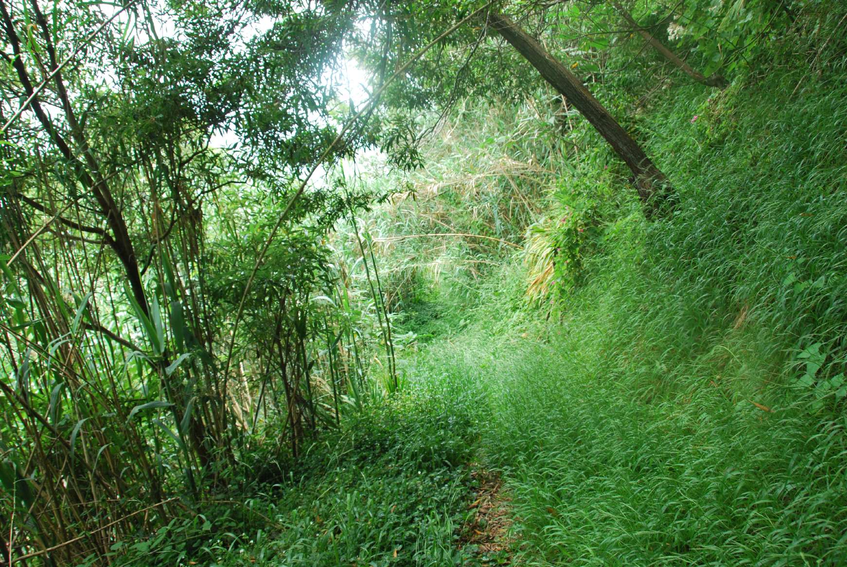 resized_DSC_0271