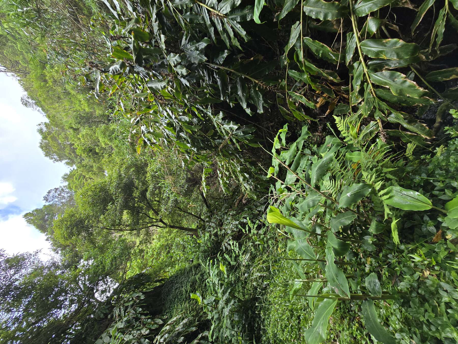 resized_DSC_0278