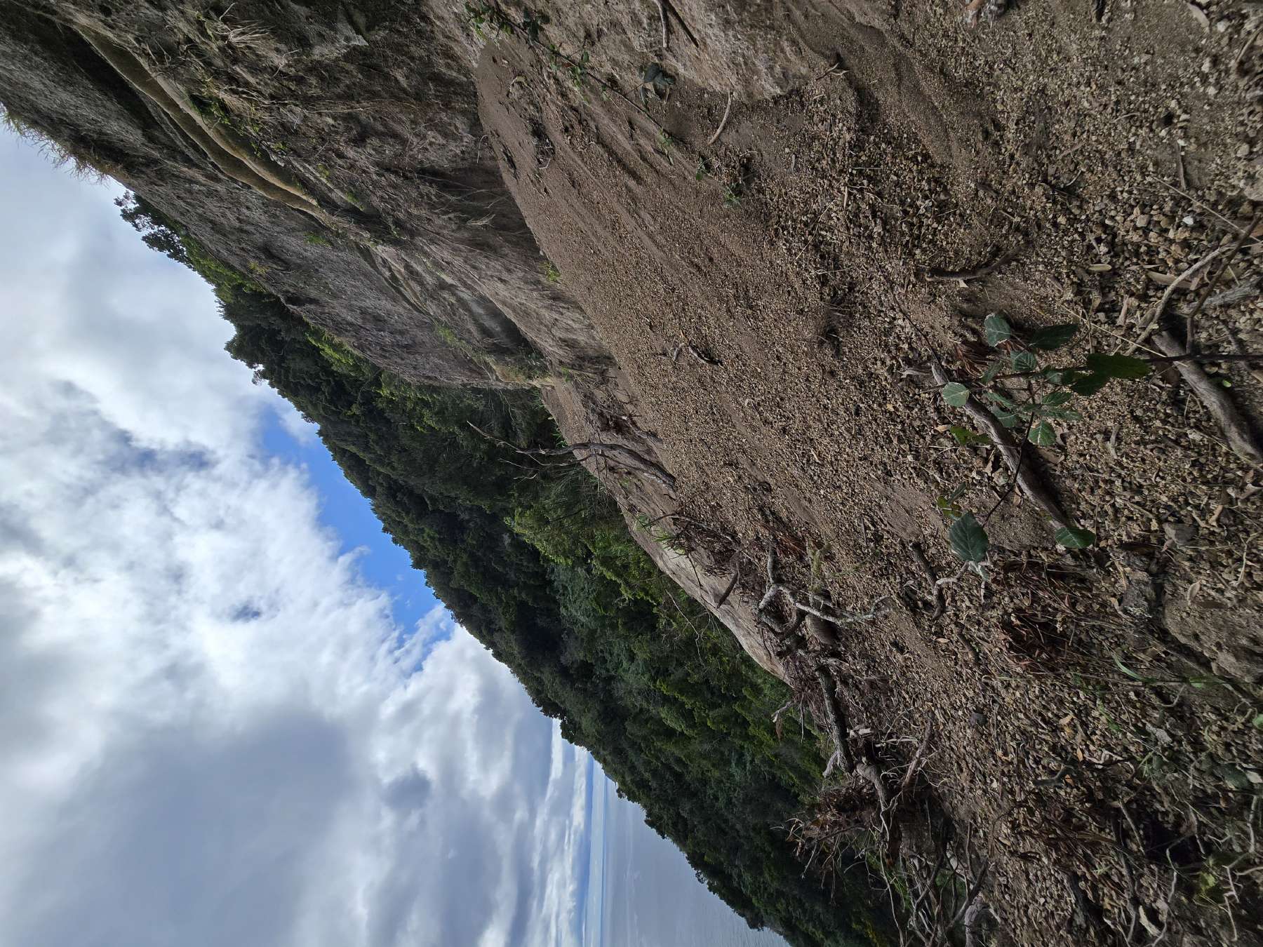 resized_DSC_0278_1