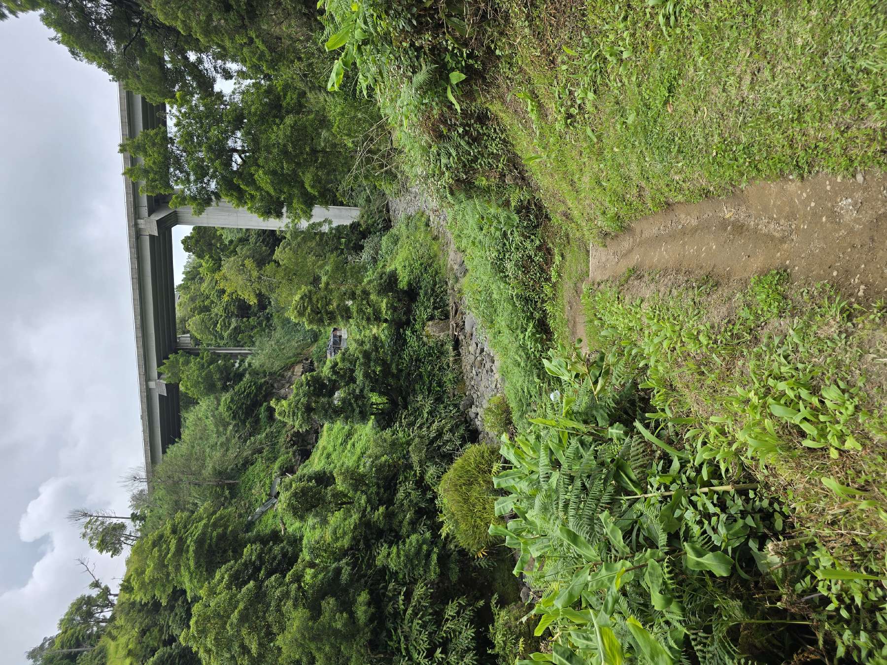 resized_DSC_0310