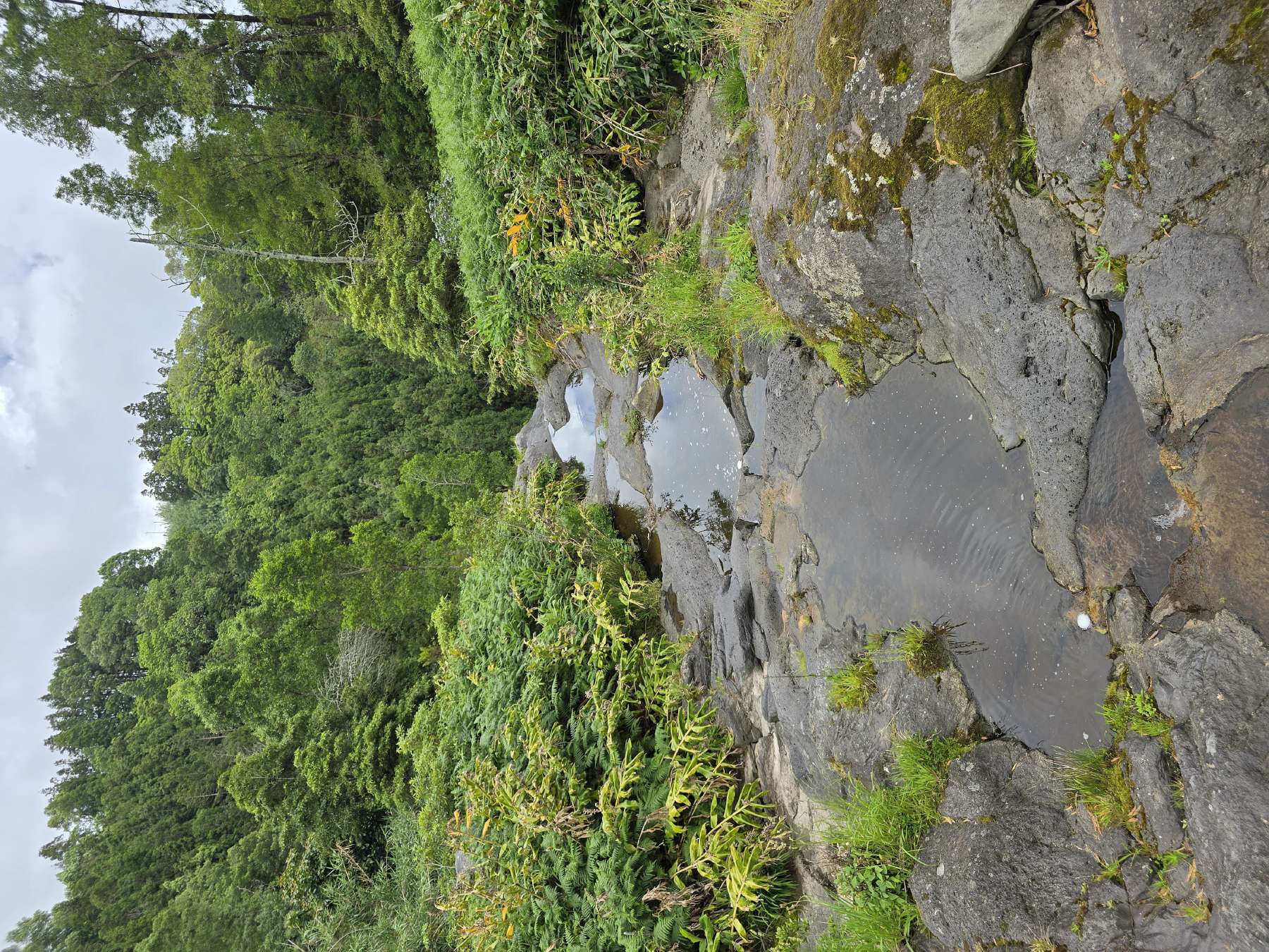 resized_DSC_0323_1