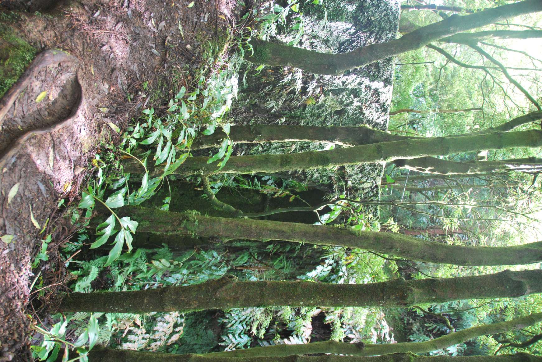 resized_DSC_0407