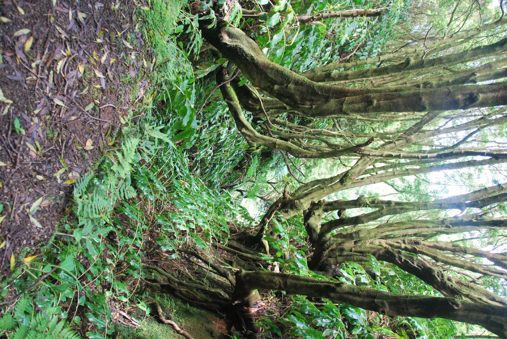 resized_DSC_0457