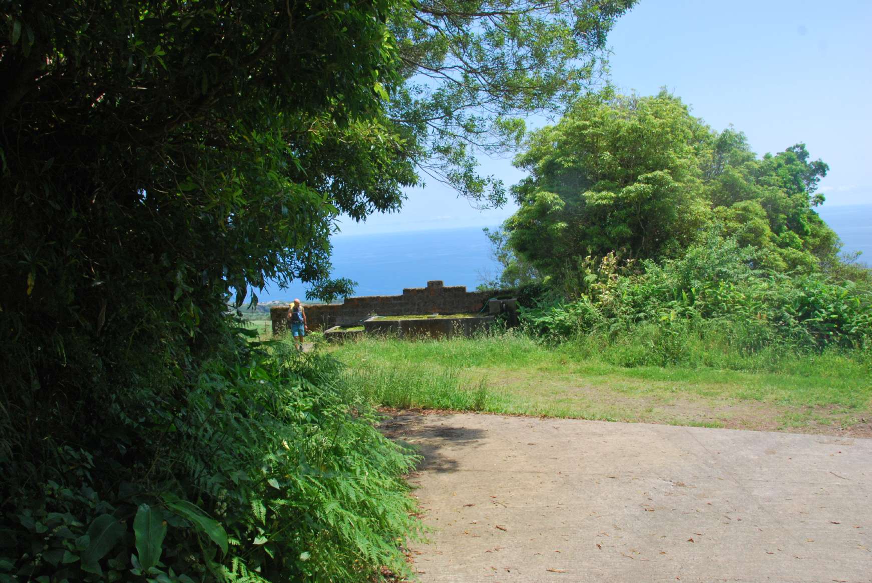 resized_DSC_0471