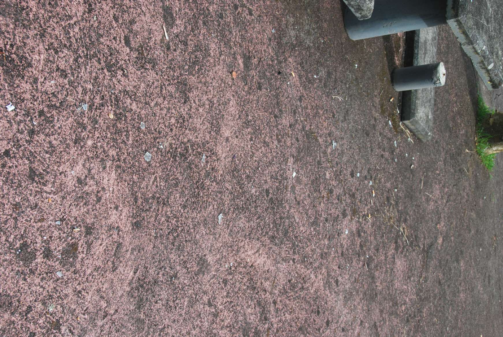 resized_DSC_0554