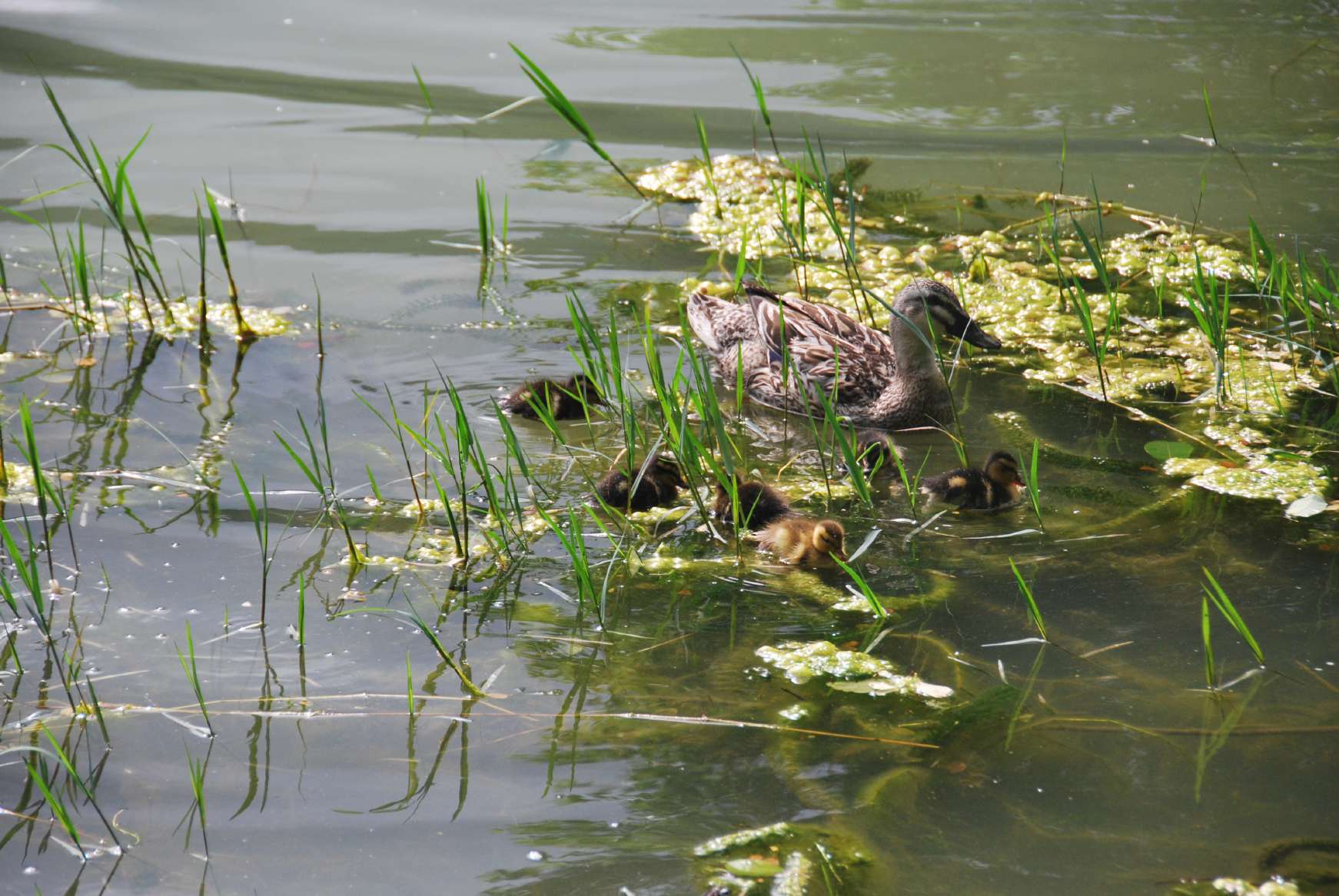 resized_DSC_0566