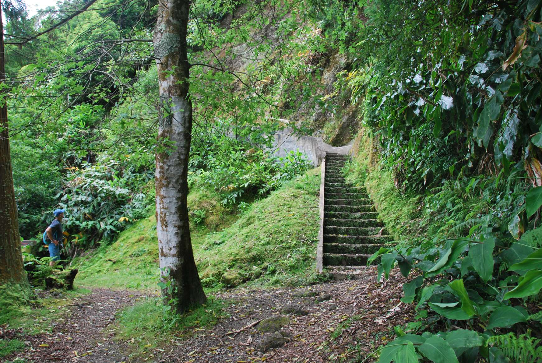 resized_DSC_0586