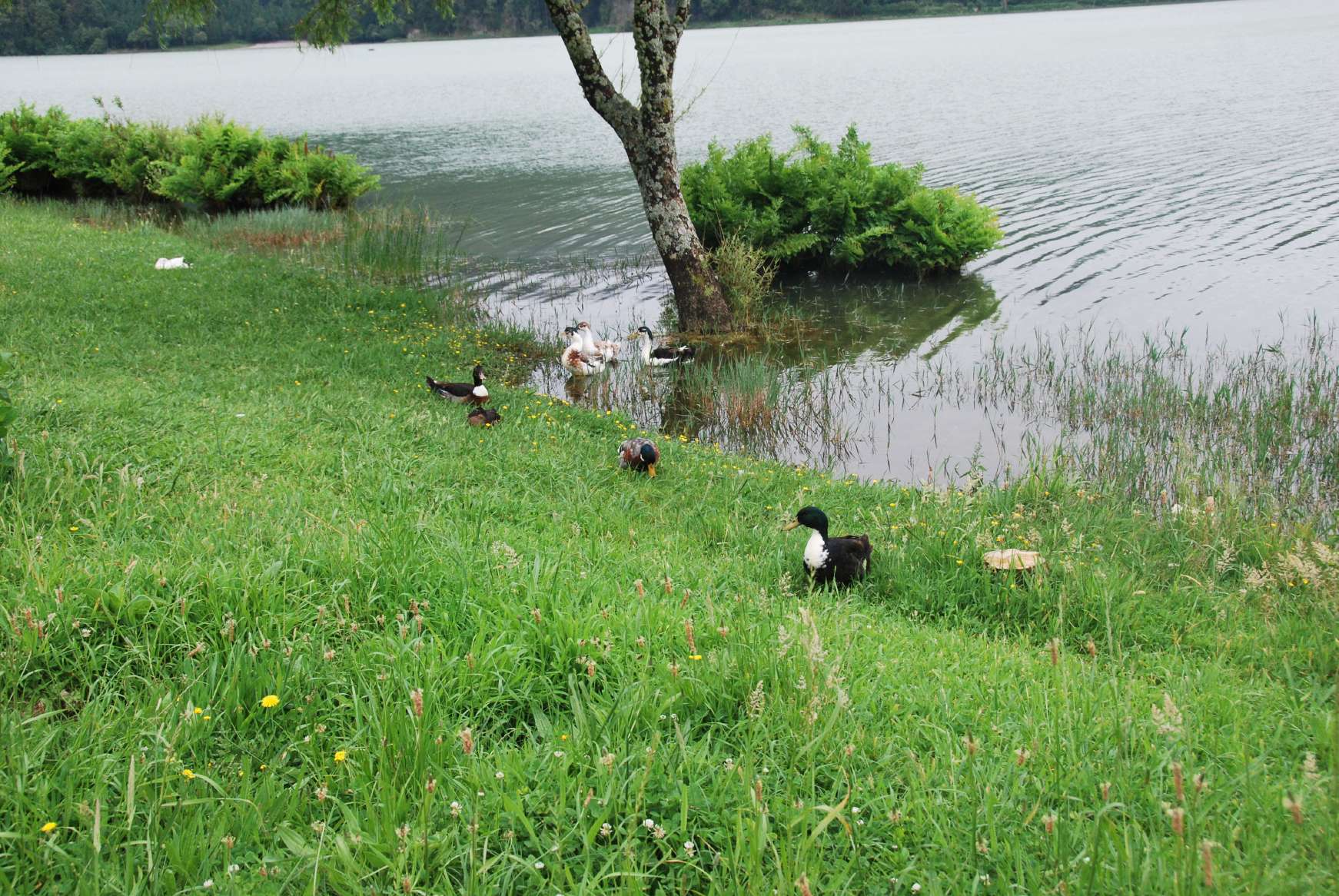 resized_DSC_0597