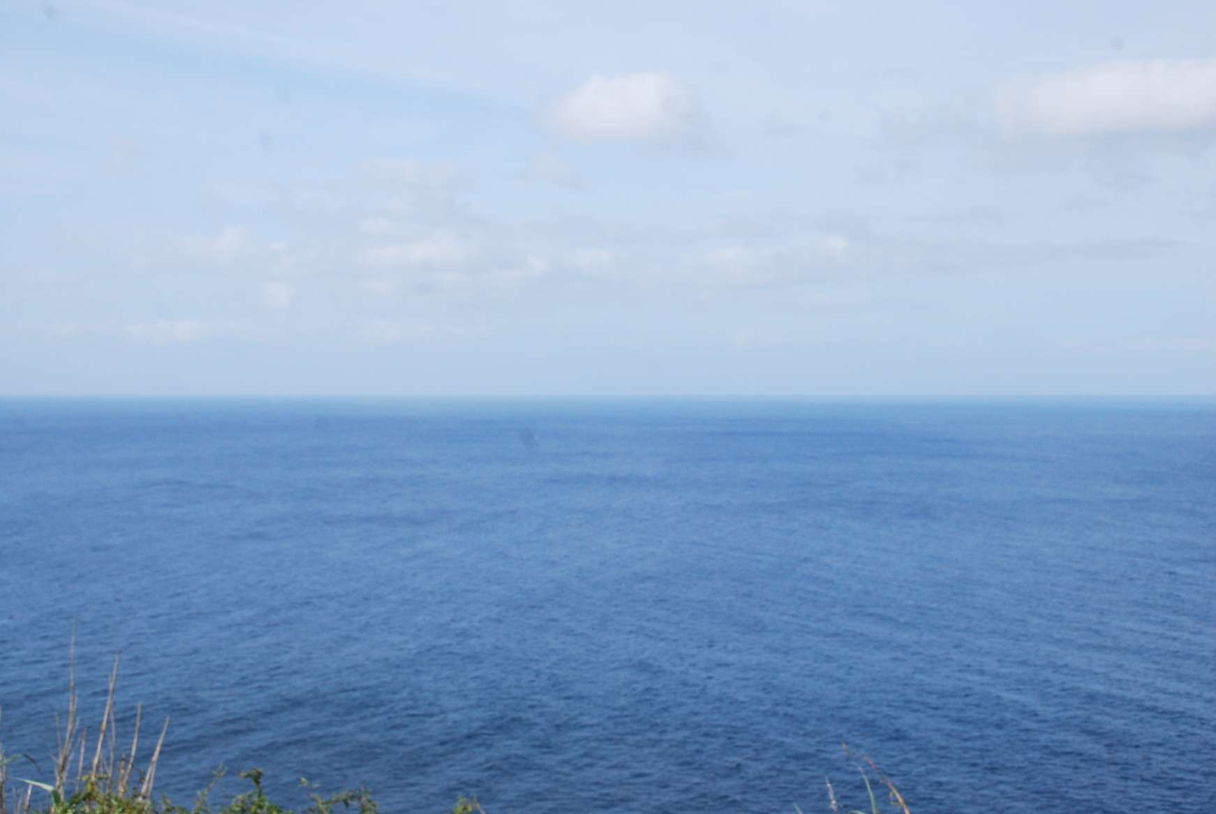 resized_DSC_0733