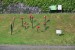 resized_DSC_0016