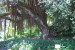 resized_DSC_0036