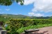 resized_DSC_0044