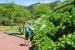resized_DSC_0045