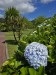 resized_DSC_0046