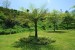 resized_DSC_0049