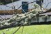 resized_DSC_0078