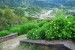 resized_DSC_0109