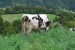 resized_DSC_0112