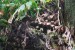 resized_DSC_0115