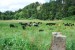 resized_DSC_0123
