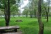 resized_DSC_0172