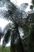 resized_DSC_0181