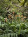 resized_DSC_0183