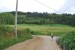 resized_DSC_0194