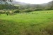 resized_DSC_0195