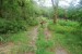 resized_DSC_0196