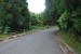 resized_DSC_0198