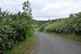 resized_DSC_0200