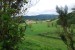 resized_DSC_0203