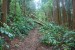 resized_DSC_0205