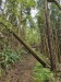 resized_DSC_0207