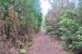 resized_DSC_0210