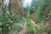 resized_DSC_0218