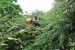 resized_DSC_0219
