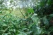 resized_DSC_0222