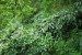 resized_DSC_0224