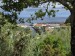 resized_DSC_00235