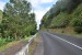resized_DSC_0236