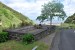 resized_DSC_0237