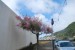 resized_DSC_0248