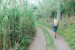 resized_DSC_0262