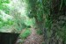 resized_DSC_0264