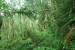 resized_DSC_0274