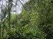 resized_DSC_0275